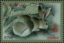 Chinese New Year 1999 - Year of the Rabbit