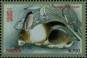 Chinese New Year 1999 - Year of the Rabbit
