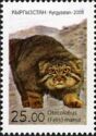 Pallas's Cat (Otocolobus felis manul)