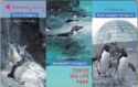 Penguins / Tokyo Sea Life Park