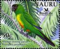 Masked Shining-parrot (Prosopeia personata)