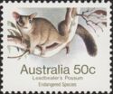 Leadbeater's Possum (Gymnobelideus leadbeateri)