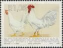 White Leghorn (Gallus gallus domesticus)