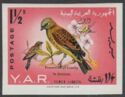 Yemen Linnet (Acanthis yemenensis) - overprinted