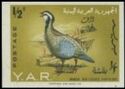 Arabian Partridge (Alectoris melanocephala) - overprinted