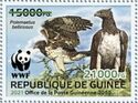 Martial Eagle (Polemaetus bellicosus) Green Overprint