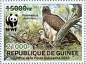 Martial Eagle (Polemaetus bellicosus) Green Overprint