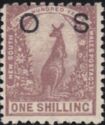 Eastern Grey Kangaroo (Macropus giganteus)