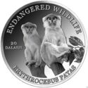 20 Dalasis (Endangered Wildlife - Hussar monkey)