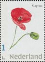 The Onlanden - Common Poppy (Papaver rhoeas)