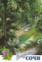 Sochi. Canyon of the river Psakho