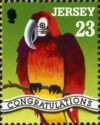 Parrot and "CONGRATULATIONS"