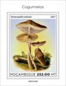 The Deep Root Mushroom (Hymenopellis radicata)