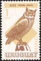 Great Horned Owl (Bubo virginianus)