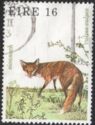 Red Fox (Vulpes vulpes)
