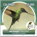 Sword-Billed Hummingbird (Ensifera ensifera)