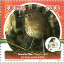 Brown-Banded Antpitta (Grallaria milleri)