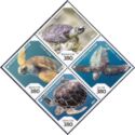 Protected Sea Life : Turtles