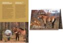 5 Hryven (Chernobyl. Revival. Przewalski's horse)