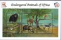 Endangered Animals of Africa