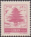Cedar of Lebanon