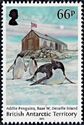 Adelie Penguins, Base W, Detaille Island