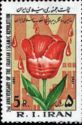 Tulip, Drops of Blood and 'Martyr' in Persian Script