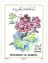 Flowers of Morocco (2021 Imprint Date)