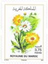 Flowers of Morocco (2021 Imprint Date)