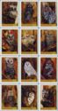 Owls