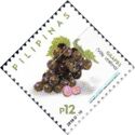 Grapes (Vitis vinifera)