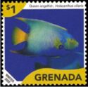 Queen Angelfish (Holacanthus ciliaris)