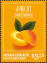Apricot