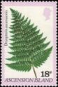 Dryopteris Ascensionis
