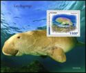 Dugong dugon