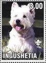 West Highland Terrier
