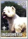 West Highland Terrier