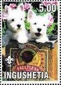 West Highland Terrier