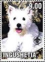 West Highland Terrier