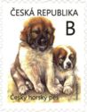 Czech Mountain Dog Puppies (Canis lupus familiaris)