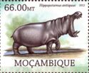 Hippopotamus antiquus