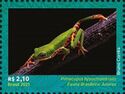 Northern Orange-legged Leaf Frog (Pithecopus hypochondrialis