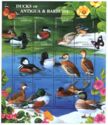 Ducks of Antigua & Barbuda - Overprinted