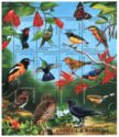 Birds of Antigua & Barbuda - Overprinted
