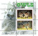 Owls