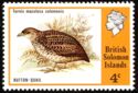 Red-backed Buttonquail (Turnix maculosus salomonis)