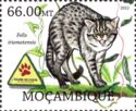 Iriomote Cat (Felis iriomotensis) (see description)