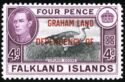 Upland Goose (Chloephaga picta) - Overprint in red