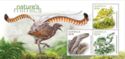 Nature's Mimics (w/Superb Lyrebird (Menura novaehollandi)