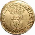 1 Ecu d'or (Henri III. M - Toulouse)